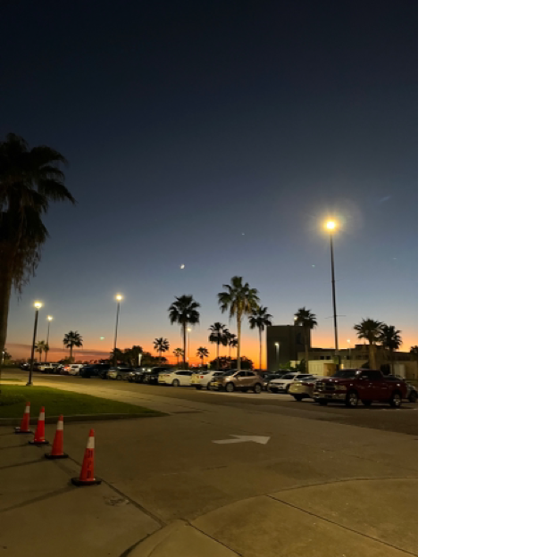 A parking lot with palm trees and a street light
	
	Description automatically generated